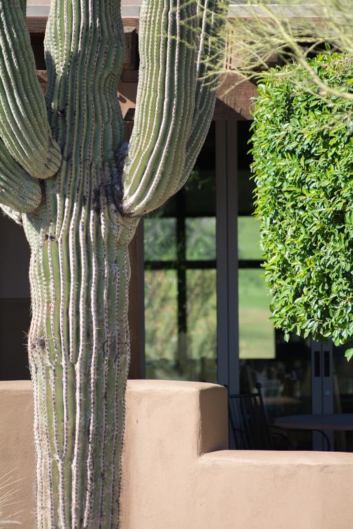 Inn At Eagle Mountain Fountain Hills Ngoại thất bức ảnh