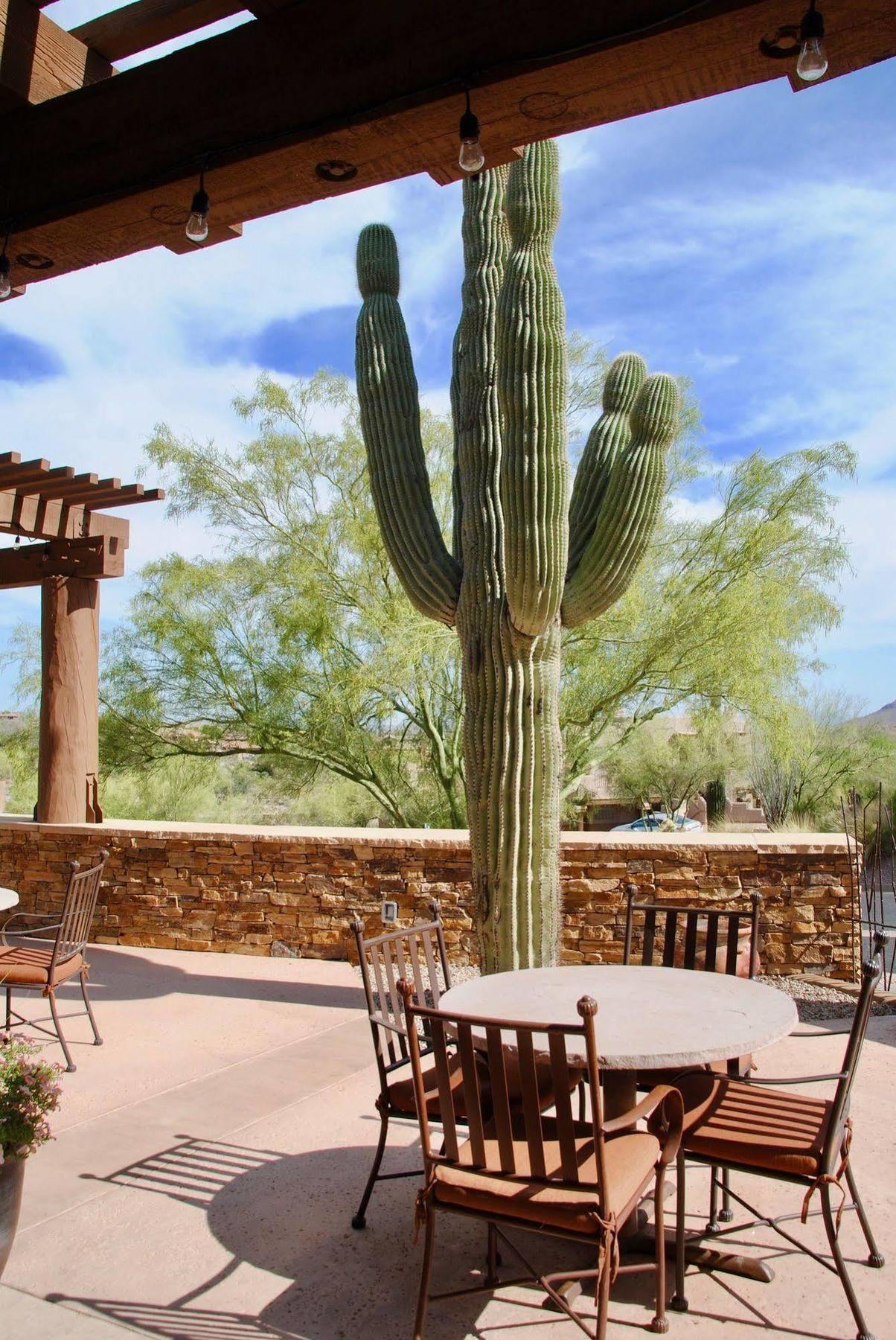 Inn At Eagle Mountain Fountain Hills Ngoại thất bức ảnh